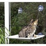 Karlie odpočívadlo na okno 51,5 x 31 x 2,5 cm – Zbozi.Blesk.cz