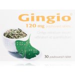 GINGIO POR 120MG TBL FLM 30 – Sleviste.cz