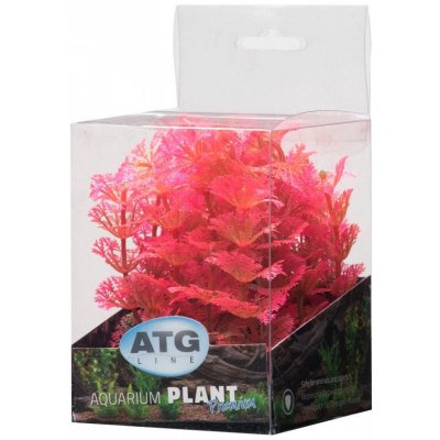 ATG Premium rostlina mini 8 až 14 cm 208 – Sleviste.cz