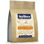 NutriHorse Snack Carrot 0,6 kg – Zboží Dáma