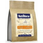 NutriHorse Snack Carrot 0,6 kg – Zbozi.Blesk.cz