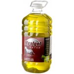 Silvita Hyalgel Horse jablko 5 l – Hledejceny.cz