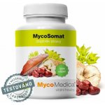 MycoMedica MycoSomat 90 kapslí směs Reishi, Hericia a čínských bylin – Hledejceny.cz