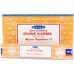 Satya PK indické vonné tyčinky Divine Karma 15 g – Hledejceny.cz