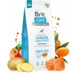 Brit Care Grain Free Junior Large Breed Salmon 3 kg – Hledejceny.cz