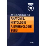 Anatomie, histologie a embryologie zubů - Jiří Šedý, Nelly Šedá – Hledejceny.cz