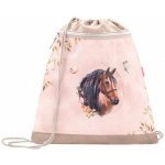 Belmil vak na tělesnou výchovu Horse Chestnut – Hledejceny.cz