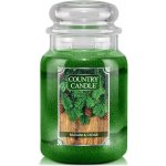 Yankee Candle Black Cherry vonné kolíčky 4 ks | Zboží Auto