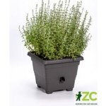 Nohel garden květináč samozavlažovací BERGAMOT plastový 40x40x32 cm – Zboží Mobilmania