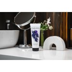 Tomas Arsov Sapphire blond šampon 250 ml – Zboží Dáma