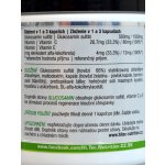 HiTec Nutrition Glucosamin 1000 mg 2 x 100 kapslí – Hledejceny.cz