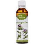 Serafin Ostropestřec tinktura z byliny 50 ml – Hledejceny.cz