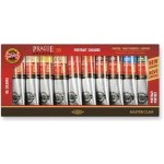 Koh-i-noor Praha souprava olejových barev 10x40 ml portrét – Sleviste.cz