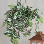 Umělá rostlina Poděnka, 80 cm, zelená 953284 – Hledejceny.cz