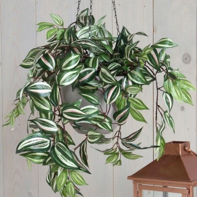 Umělá rostlina Poděnka, 80 cm, zelená 953284 – Hledejceny.cz