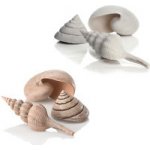 BiOrb Sea Shells Decor Set natural 13, 6,5, 9,5 cm – Zboží Dáma