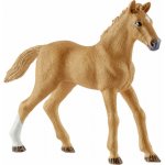 Schleich 42458 ohrada s koníky a fenka Ruby – Zboží Mobilmania