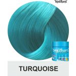 La Riché Directions 13 Turquoise 89 ml – Hledejceny.cz