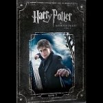 Harry Potter a Relikvie smrti - část 1. DVD – Hledejceny.cz