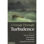 A Voyage Through Turbulence Peter A. Davidson – Hledejceny.cz
