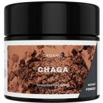 Bio Chaga extrakt v prášku 30 g – Hledejceny.cz