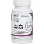 LAB-V Hepato Protect Podpora funkce jater pro psy a kočky 45 kapslí – Hledejceny.cz