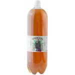 Stevikom Kombucha Green Tea 2 l – Sleviste.cz