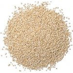 Prodejnabylin.cz Quinoa bílá 1 kg – Zboží Mobilmania