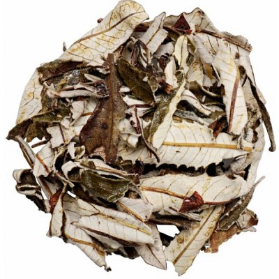 Nefertitis Yerba santa NF54127 20 g – Hledejceny.cz