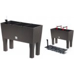 Prosperplast DRTC600H truhlík – Zboží Dáma