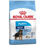 Royal Canin Maxi Junior 1 kg – Zbozi.Blesk.cz