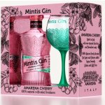 Mintis Gin Amarena 41,8% 0,7 l (holá láhev) – Hledejceny.cz