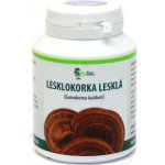 Institut Handan Lesklokorka lesklá 30 g 120 kapslí – Hledejceny.cz