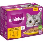 Whiskas 1+ Adult drůbeží výběr v želé 12 x 85 g – Hledejceny.cz