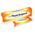 Link Natural bylinná ajurvedská mast na unavené svaly a klouby 25 ml – Zboží Mobilmania