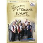 Va: Malá muzika Nauše Pepíka a jejich V té krásné Šumavě DVD – Hledejceny.cz