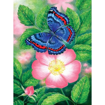 Sunsout Modrý motýl 1000 dílků – Zboží Mobilmania