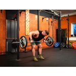 TRINFIT Olympijská osa 2200 mm / 315 kg – Hledejceny.cz