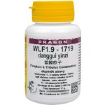 WLF1.9 - danggui yinzi - 36 tablet Pragon – Hledejceny.cz