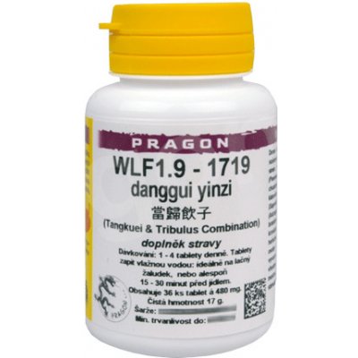 WLH2.9-1739 taohong siwu tang 36 tablet Pragon