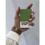 Pantone Pouzdro na vizitky dárkové balení - Green 15-0343 – Zboží Živě