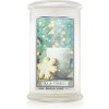 Svíčka Kringle Candle Tea & Cookies 624 g