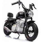 Mamido elektrická motorka A9902 36V 350W zelená – Zboží Mobilmania