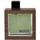 Dsquared2 He wood Rocky Mountain toaletní voda pánská 100 ml