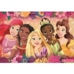 Clementoni Maxi Super Color Disney Princess 24 dílků – Hledejceny.cz