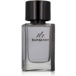 Burberry Mr. Burberry toaletní voda pánská 100 ml – Hledejceny.cz