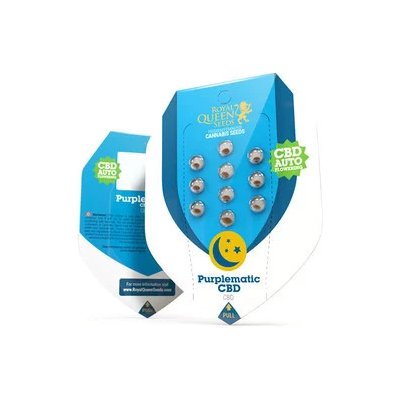 Royal Queen Seeds Purplematic CBD semena neobsahují THC 1 ks – Zbozi.Blesk.cz