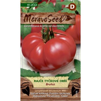 Moravo Seed Rajče tyčkové obří Brutus