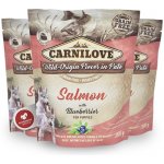 Carnilove Puppy Paté Salmon with Blueberries 300 g – Hledejceny.cz