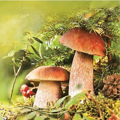 Ubrousek 33x33cm Hříbky pod smrkem – Zboží Dáma